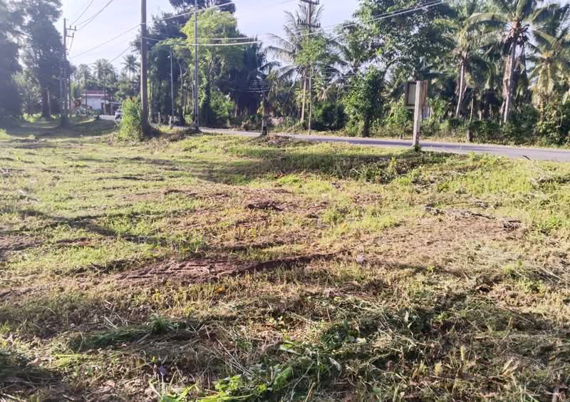 ที่ดินบางสะพาน ประจวบคีรีขันธ์, Prachuap Khiri Khan, Kamnoet Nopphakhun, Bang Saphan, Prachuap Khiri Khan, , 46,716 sqm, Land For Sale, by The Best Property ต่าย, 500436121 - DDproperty.com