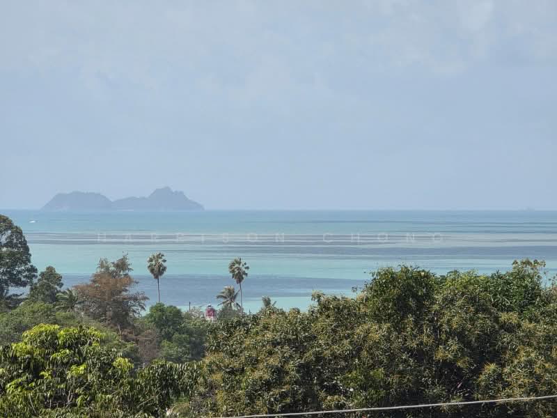 4-BR Villa, Surat Thani, Mae Nam, Ko Samui, Surat Thani, 4 Bedrooms, 490 sqm, Villa For Sale, by Harrison Chong, 500436244 - DDproperty.com