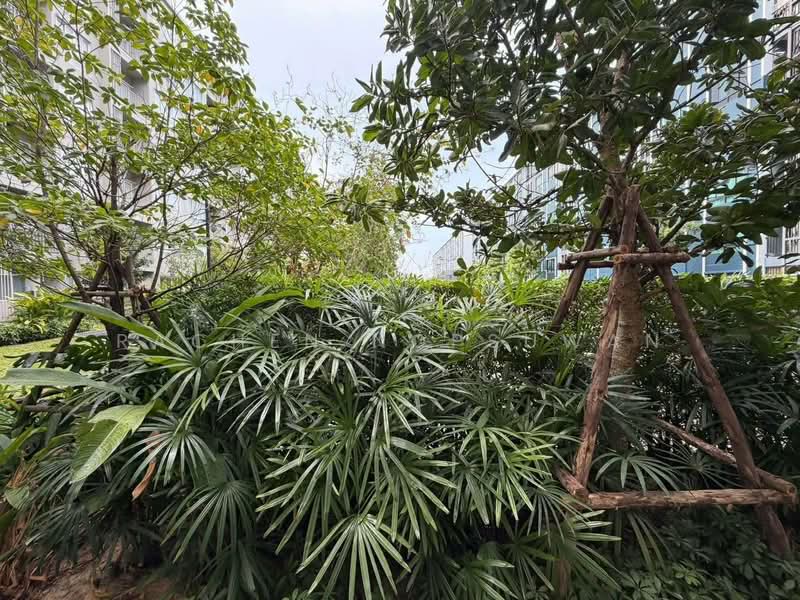 Dcondo Sand Hatyai, Songkhla, Kho Hong, Hat Yai, Songkhla, Studio, 29 sqm, Condo For Sale, by Rachen Nopsuwan, 500436371 - DDproperty.com