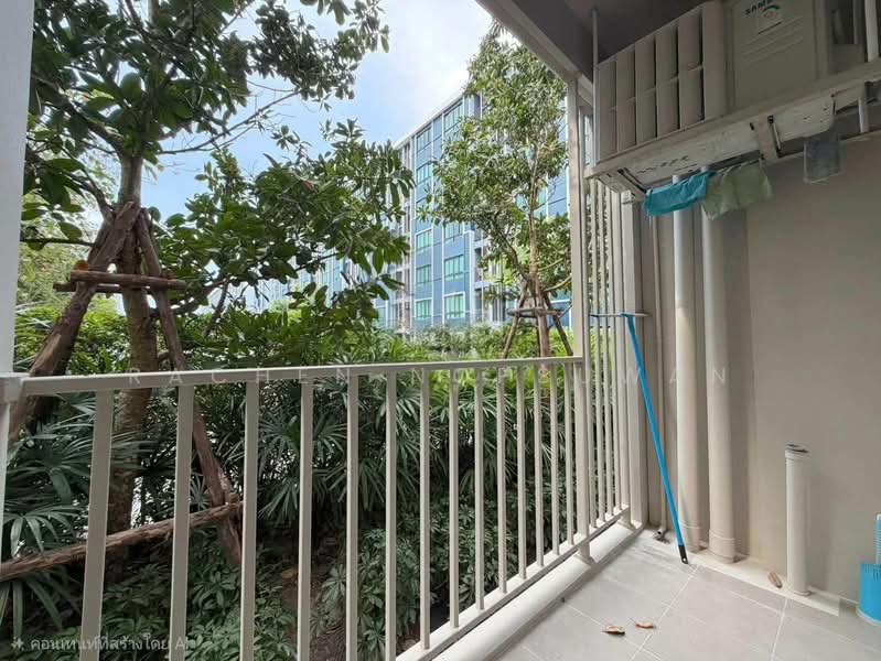 Dcondo Sand Hatyai, Songkhla, Kho Hong, Hat Yai, Songkhla, Studio, 29 sqm, Condo For Sale, by Rachen Nopsuwan, 500436371 - DDproperty.com