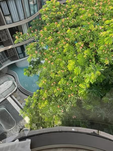 Fynn Asoke, Bangkok, 28 Sukhumvit 10 Alley, Khlong Toei, Bangkok, 1 Bedroom, 40 sqm, Condo For Rent, by Pensasi Ongphichetmetha, 500436378 - DDproperty.com