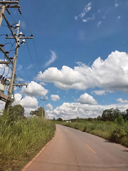 ขายที่ดินทำเลสวย ใกล้ทอสกาน่า เขาใหญ่ เพียง 10 นาที, Nakhon Ratchasima, Pong Ta Long, Pak Chong, Nakhon Ratchasima, , 3,904 sqm, Land For Sale, by พลิศภัสร์ โชคธนวีระกานต์, 500436541 - DDproperty.com