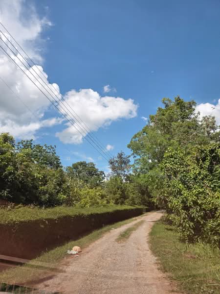 ขายที่ดินทำเลสวย ใกล้ทอสกาน่า เขาใหญ่ เพียง 10 นาที, Nakhon Ratchasima, Pong Ta Long, Pak Chong, Nakhon Ratchasima, , 3,904 sqm, Land For Sale, by พลิศภัสร์ โชคธนวีระกานต์, 500436541 - DDproperty.com