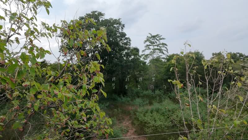 ขายที่ดินทำเลสวย ใกล้ทอสกาน่า เขาใหญ่ เพียง 10 นาที, นครราชสีมา, โป่งตาลอง, ปากช่อง, นครราชสีมา, 3,904 ตร.ม., ที่ดิน ขาย, โดย พลิศภัสร์ โชคธนวีระกานต์, 500436541 - DDproperty.com