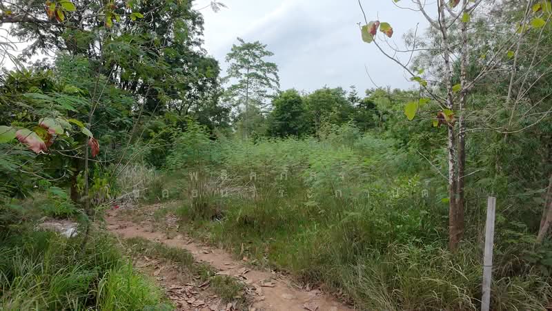 ขายที่ดินทำเลสวย ใกล้ทอสกาน่า เขาใหญ่ เพียง 10 นาที, Nakhon Ratchasima, Pong Ta Long, Pak Chong, Nakhon Ratchasima, , 3,904 sqm, Land For Sale, by พลิศภัสร์ โชคธนวีระกานต์, 500436541 - DDproperty.com