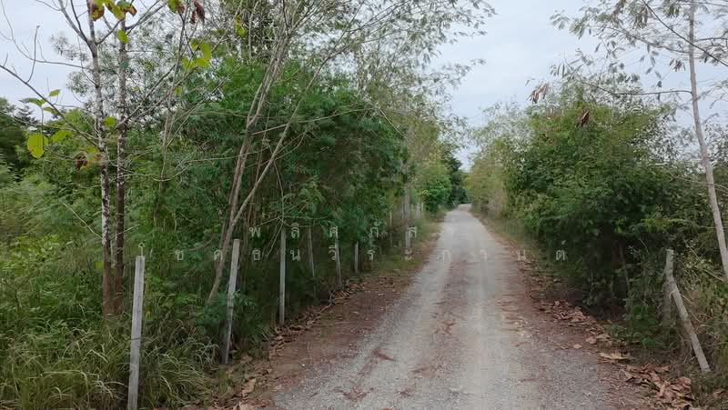 ขายที่ดินทำเลสวย ใกล้ทอสกาน่า เขาใหญ่ เพียง 10 นาที, นครราชสีมา, โป่งตาลอง, ปากช่อง, นครราชสีมา, 3,904 ตร.ม., ที่ดิน ขาย, โดย พลิศภัสร์ โชคธนวีระกานต์, 500436541 - DDproperty.com