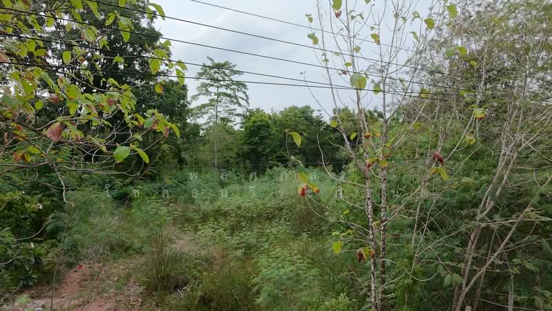 ขายที่ดินทำเลสวย ใกล้ทอสกาน่า เขาใหญ่ เพียง 10 นาที, Nakhon Ratchasima, Pong Ta Long, Pak Chong, Nakhon Ratchasima, , 3,904 sqm, Land For Sale, by พลิศภัสร์ โชคธนวีระกานต์, 500436541 - DDproperty.com