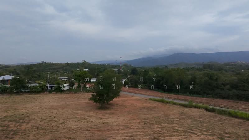 ขายที่ดินทำเลสวย ใกล้ทอสกาน่า เขาใหญ่ เพียง 10 นาที, Nakhon Ratchasima, Pong Ta Long, Pak Chong, Nakhon Ratchasima, , 3,904 sqm, Land For Sale, by พลิศภัสร์ โชคธนวีระกานต์, 500436541 - DDproperty.com