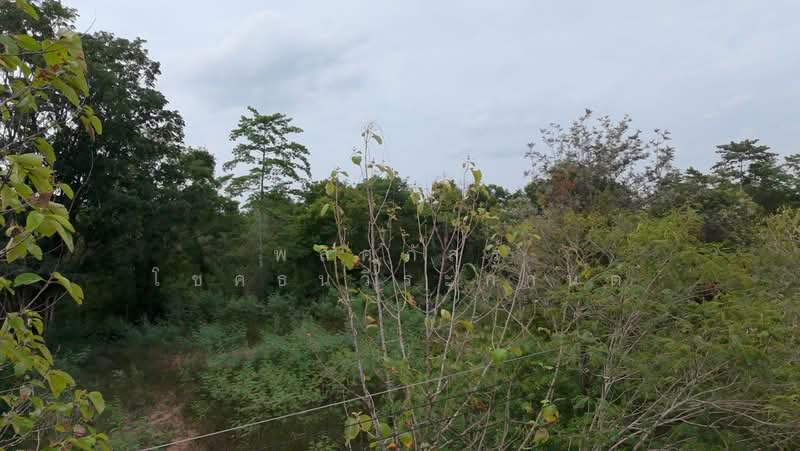 ขายที่ดินทำเลสวย ใกล้ทอสกาน่า เขาใหญ่ เพียง 10 นาที, นครราชสีมา, โป่งตาลอง, ปากช่อง, นครราชสีมา, 3,904 ตร.ม., ที่ดิน ขาย, โดย พลิศภัสร์ โชคธนวีระกานต์, 500436541 - DDproperty.com