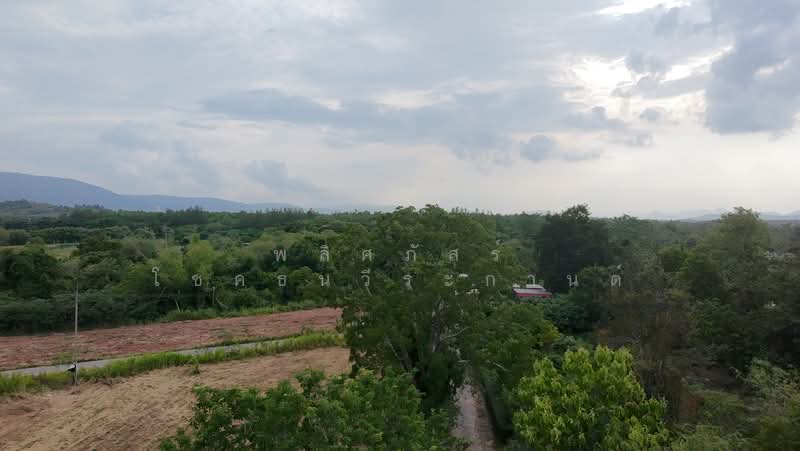 ขายที่ดินทำเลสวย ใกล้ทอสกาน่า เขาใหญ่ เพียง 10 นาที, Nakhon Ratchasima, Pong Ta Long, Pak Chong, Nakhon Ratchasima, , 3,904 sqm, Land For Sale, by พลิศภัสร์ โชคธนวีระกานต์, 500436541 - DDproperty.com