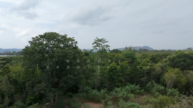 ขายที่ดินทำเลสวย ใกล้ทอสกาน่า เขาใหญ่ เพียง 10 นาที, Nakhon Ratchasima, Pong Ta Long, Pak Chong, Nakhon Ratchasima, , 3,904 sqm, Land For Sale, by พลิศภัสร์ โชคธนวีระกานต์, 500436541 - DDproperty.com