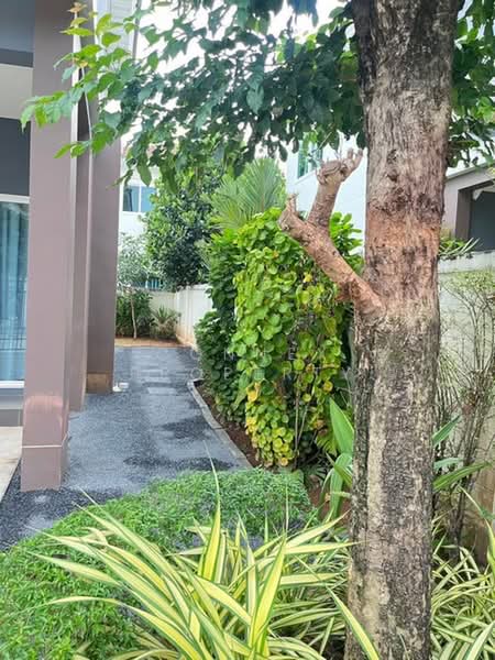 Supalai Bella Thalang Phuket : ศุภาลัย เบลล่า ถลาง ภูเก็ต, ภูเก็ต, ถนนเทพกระษัตรี, เทพกระษัตรี, ถลาง, ภูเก็ต, 150 ตร.ม., บ้านเดี่ยว ให้เช่า, โดย Connex Property, 500436788 - DDproperty.com