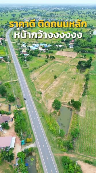 โคกกระเบื้อง, Nakhon Ratchasima, Khok Krabuang, Ban Luam, Nakhon Ratchasima, , 17,512 sqm, Land For Sale, by Nipawan Thurasuk, 500436804 - DDproperty.com