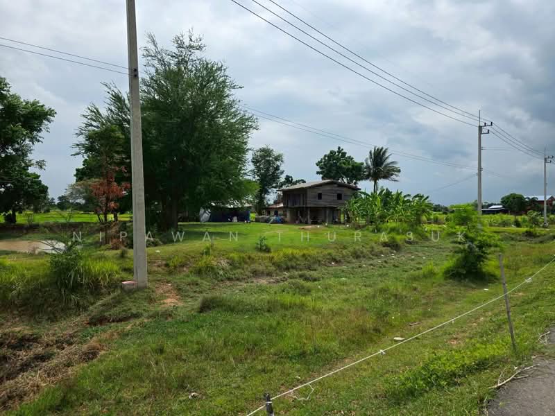 โคกกระเบื้อง, Nakhon Ratchasima, Khok Krabuang, Ban Luam, Nakhon Ratchasima, , 17,512 sqm, Land For Sale, by Nipawan Thurasuk, 500436804 - DDproperty.com