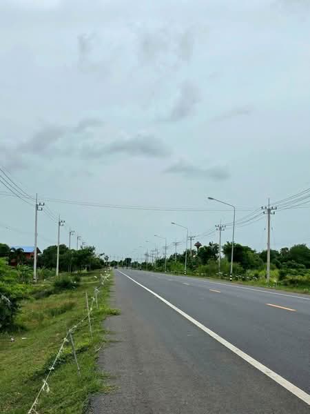 โคกกระเบื้อง, Nakhon Ratchasima, Khok Krabuang, Ban Luam, Nakhon Ratchasima, , 17,512 sqm, Land For Sale, by Nipawan Thurasuk, 500436804 - DDproperty.com