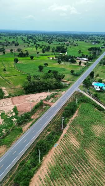 โคกกระเบื้อง, Nakhon Ratchasima, Khok Krabuang, Ban Luam, Nakhon Ratchasima, , 17,512 sqm, Land For Sale, by Nipawan Thurasuk, 500436804 - DDproperty.com