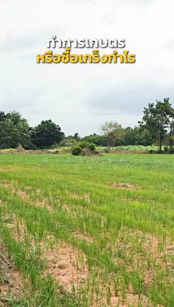 โคกกระเบื้อง, Nakhon Ratchasima, Khok Krabuang, Ban Luam, Nakhon Ratchasima, , 17,512 sqm, Land For Sale, by Nipawan Thurasuk, 500436804 - DDproperty.com