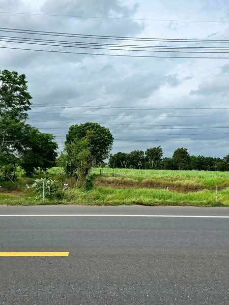 โคกกระเบื้อง, Nakhon Ratchasima, Khok Krabuang, Ban Luam, Nakhon Ratchasima, , 17,512 sqm, Land For Sale, by Nipawan Thurasuk, 500436804 - DDproperty.com