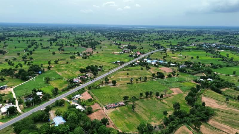 โคกกระเบื้อง, Nakhon Ratchasima, Khok Krabuang, Ban Luam, Nakhon Ratchasima, , 17,512 sqm, Land For Sale, by Nipawan Thurasuk, 500436804 - DDproperty.com
