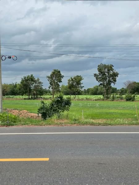 โคกกระเบื้อง, Nakhon Ratchasima, Khok Krabuang, Ban Luam, Nakhon Ratchasima, , 17,512 sqm, Land For Sale, by Nipawan Thurasuk, 500436804 - DDproperty.com