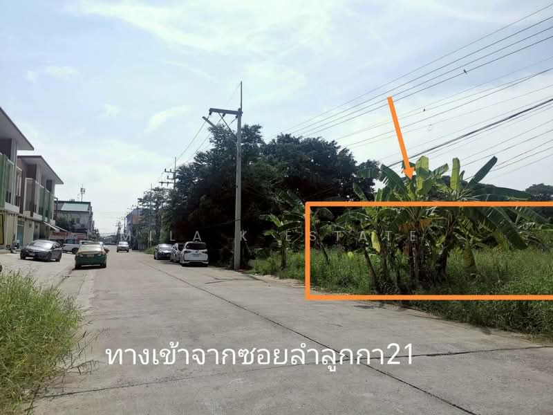 ขายที่ดินเปล่า ! ทำเลปัง ต.คูคต อ.ลำลูกกา จ.ปทุมธานี, ปทุมธานี, คูคต, ลำลูกกา, ปทุมธานี, 1,004 ตร.ม., ที่ดิน ขาย, โดย Mila K Estate, 500436807 - DDproperty.com