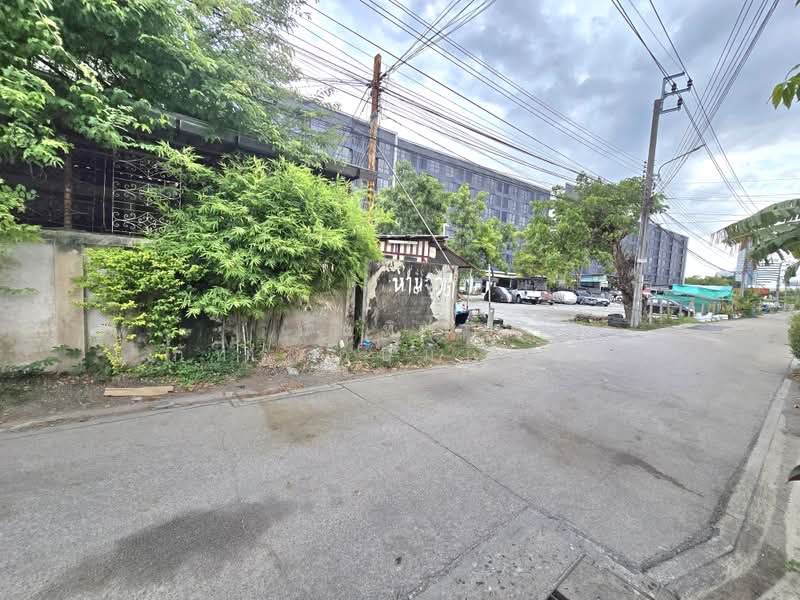 My condo sukhumvit 105, กรุงเทพ, บางนาใต้, บางนา, กรุงเทพ, 6,271 ตร.ม., ที่ดิน ขาย, โดย นันทิรา ภัทรเกษมกิจกุล, 500436971 - DDproperty.com
