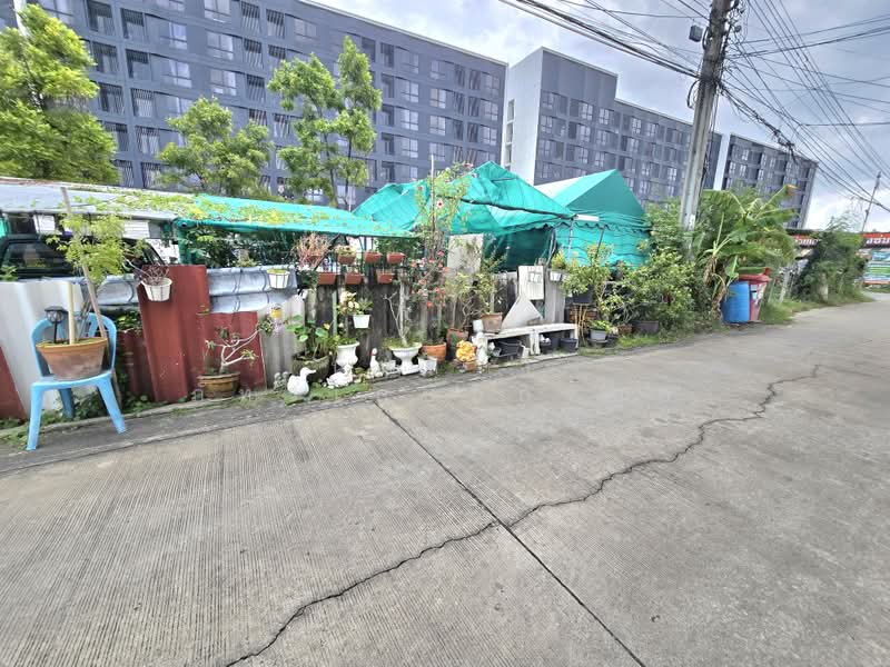 My condo sukhumvit 105, กรุงเทพ, บางนาใต้, บางนา, กรุงเทพ, 6,271 ตร.ม., ที่ดิน ขาย, โดย นันทิรา ภัทรเกษมกิจกุล, 500436971 - DDproperty.com