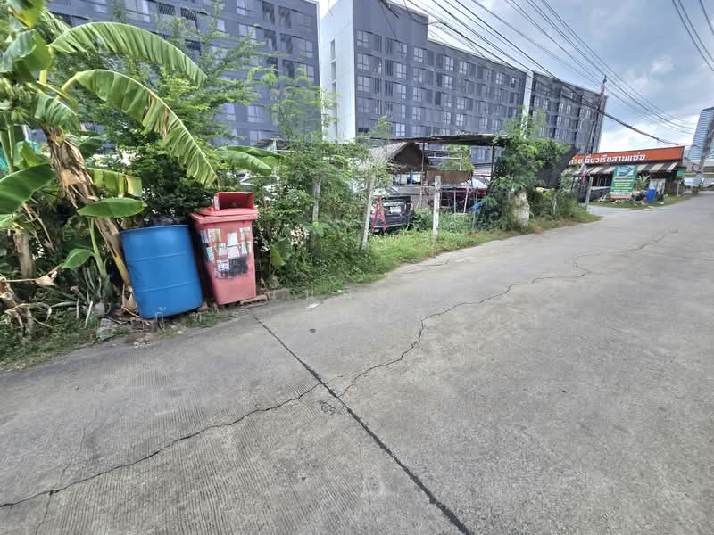My condo sukhumvit 105, กรุงเทพ, บางนาใต้, บางนา, กรุงเทพ, 6,271 ตร.ม., ที่ดิน ขาย, โดย นันทิรา ภัทรเกษมกิจกุล, 500436971 - DDproperty.com
