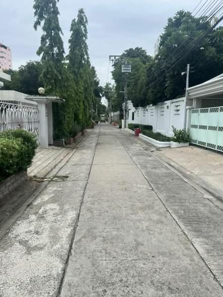 3-BR House, Bangkok, Khlong Toei, Bangkok, 3 Bedrooms, 360 sqm, Single Detached House For Rent, by Jakree Buajatturat, 500437005 - DDproperty.com