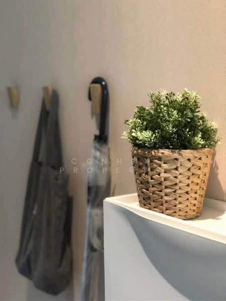 Rhythm Ekkamai, Bangkok, 11 Soi Sukhumvit 63, Khlongtoei Nua, Watthana, Bangkok, 1 Bedroom, 30 sqm, Condo For Rent, by Connex Property, 500437007 - DDproperty.com