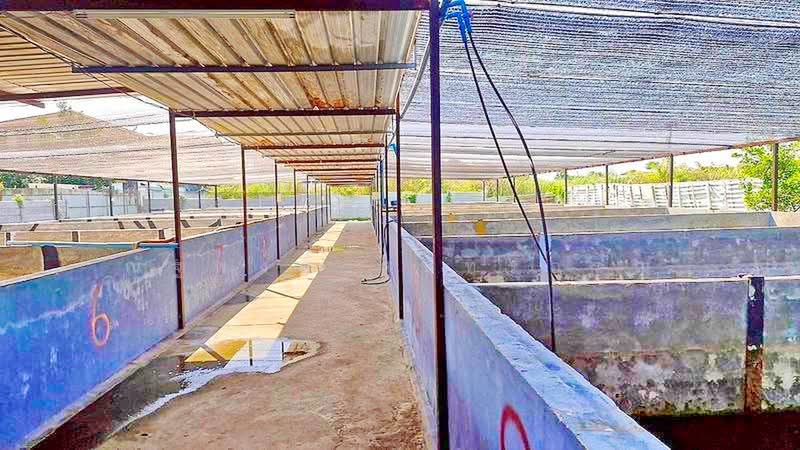 ไม่พบโครงการ, Pathum Thani, คู่ขนาน ถ.พหลโยธิน กาญจนาภิเษก คลองหลวง, Khlong Sam, Khlong Luang, Pathum Thani, , 400 sqm, Warehouse/Factory For Rent, by ณัฐพงศ์ สุนทรอรุณ, 500437125 - DDproperty.com