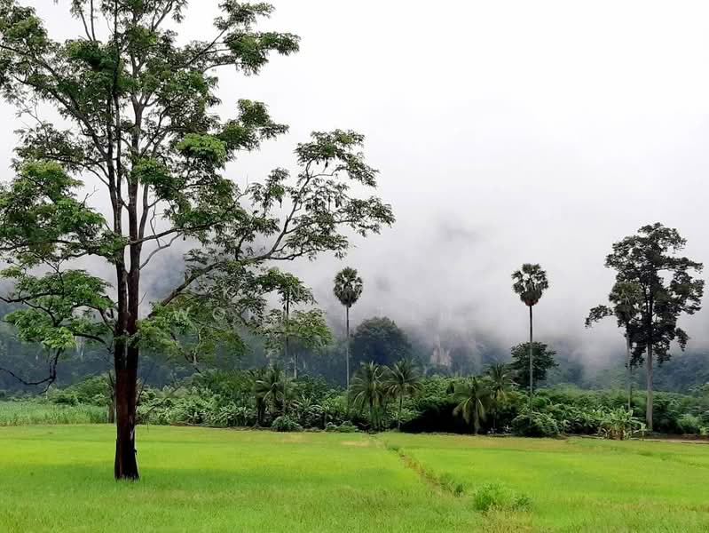 รีสอร์ท บ้านมุง เนินมะปราง เขาปินปูน กุ้ยหลินเมืองไทย พิษณุโลก, พิษณุโลก, ถนนหมายเลข 115 (สากเหล็ก-บ้านมุง), บ้านมุง, เนินมะปราง, พิษณุโลก, 231 ตร.ม., กิจการ ขาย, โดย Kanyarak Borwornsetthaskul, 500437213 - DDproperty.com