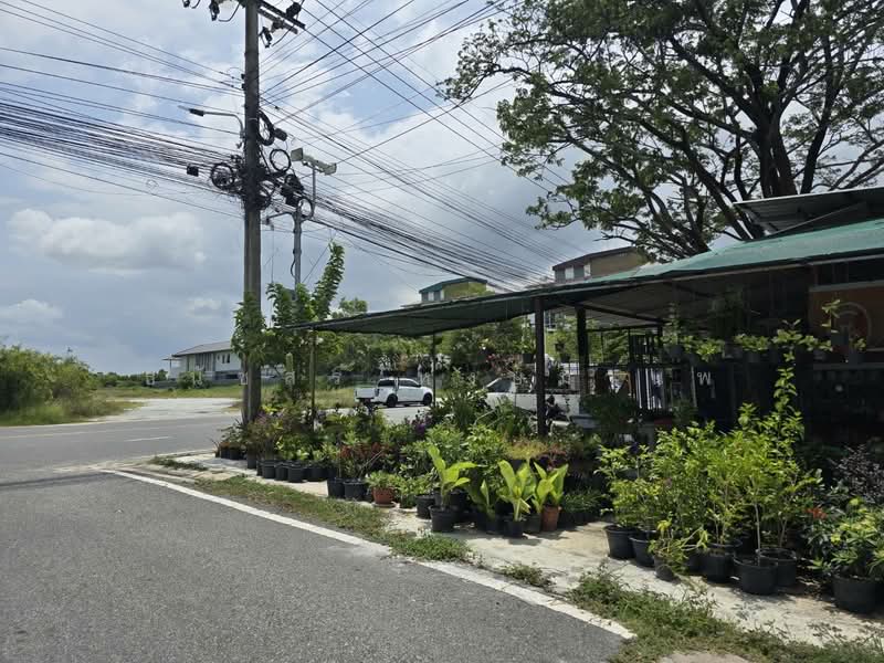 Land for sale 2 Rai near Abac 2 University price Total 10,400,000 Baht, Samut Prakan, บางนาตราด กม.26 ซอยกรมที่ดินบางพลี, Bang Bo, Bang Bo, Samut Prakan, , 3,200 sqm, Land For Sale, by Thanatsorn Hongmanop, 500437217 - DDproperty.com
