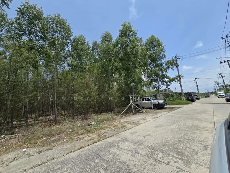 Land for sale 2 Rai near Abac 2 University price Total 10,400,000 Baht, Samut Prakan, บางนาตราด กม.26 ซอยกรมที่ดินบางพลี, Bang Bo, Bang Bo, Samut Prakan, , 3,200 sqm, Land For Sale, by Thanatsorn Hongmanop, 500437217 - DDproperty.com