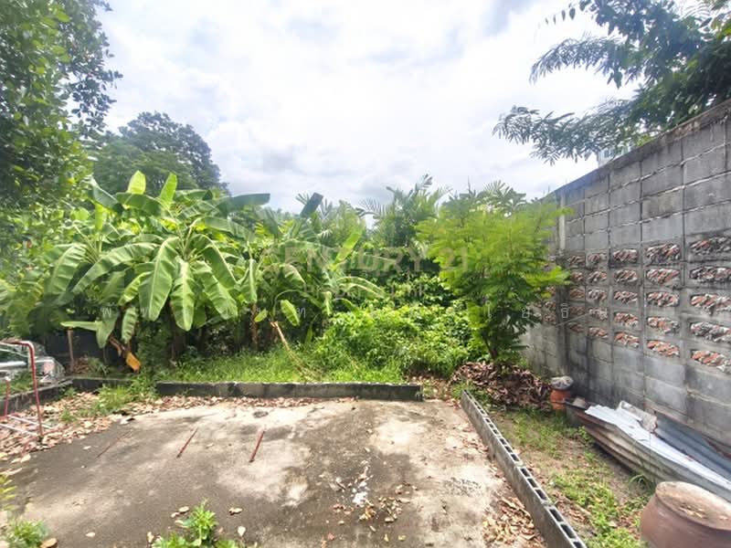 แปลงสวยทรงสี่เหลี่ยม! ขายที่ดินวิภาวดี 20, Bangkok, Jom Phon, Chatuchak, Bangkok, , 392 sqm, Land For Sale, by Pattanan Apirayothin, 500437255 - DDproperty.com