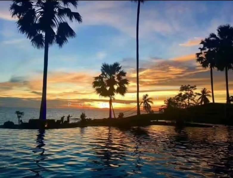 The Palm Wongamat Beach, Chon Buri (Pattaya), Soi Naklua 16, Na Kloe, Bang Lamung (Pattaya), Chon Buri (Pattaya), 1 Bedroom, 33 sqm, Condo For Sale, by Thipakon Wingwon, 500437258 - DDproperty.com
