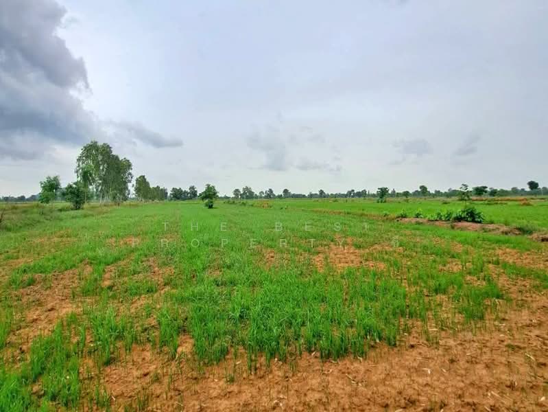 ที่ดินทับคล้อ พิจิตร, Phichit, Kao Chet Luk, Thap Khlo, Phichit, , 122,388 sqm, Land For Sale, by The Best Property ซี, 500437305 - DDproperty.com