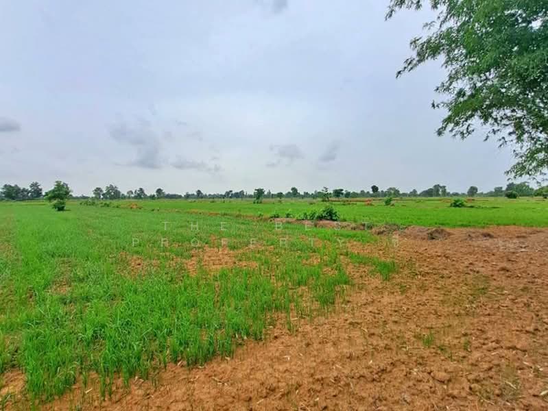ที่ดินทับคล้อ พิจิตร, Phichit, Kao Chet Luk, Thap Khlo, Phichit, , 122,388 sqm, Land For Sale, by The Best Property ซี, 500437305 - DDproperty.com