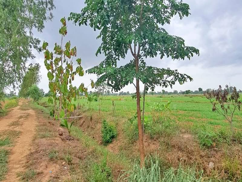 ที่ดินทับคล้อ พิจิตร, Phichit, Kao Chet Luk, Thap Khlo, Phichit, , 122,388 sqm, Land For Sale, by The Best Property ซี, 500437305 - DDproperty.com