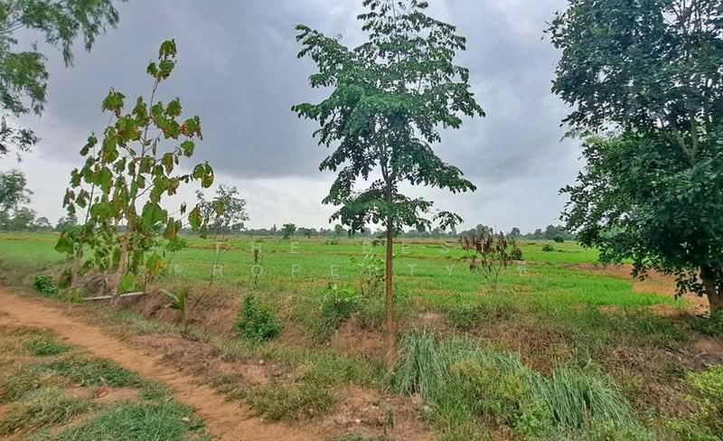 ที่ดินทับคล้อ พิจิตร, พิจิตร, เขาเจ็ดลูก, ทับคล้อ, พิจิตร, 122,388 ตร.ม., ที่ดิน ขาย, โดย The Best Property ซี, 500437305 - DDproperty.com
