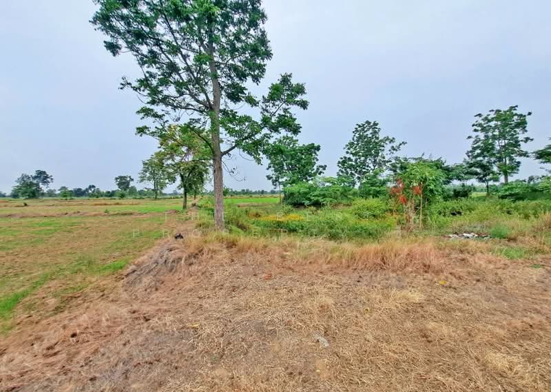 ที่ดินทับคล้อ พิจิตร, Phichit, Kao Chet Luk, Thap Khlo, Phichit, , 122,388 sqm, Land For Sale, by The Best Property ซี, 500437305 - DDproperty.com