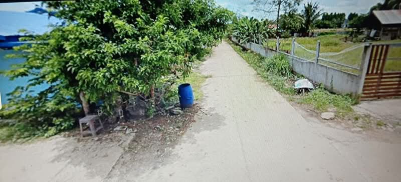 ขายที่ดิน 4 ไร่ ต.กันจุ อ.บึงสามพัน จ.เพชรบูรณ์, Phetchabun, Kan Chu, Buang Sam Phan, Phetchabun, , 6,400 sqm, Land For Sale, by นฤมล อุ่นจิตติ, 500437343 - DDproperty.com