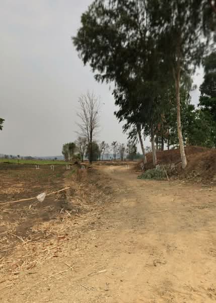 ขายที่ดิน 4 ไร่ ต.กันจุ อ.บึงสามพัน จ.เพชรบูรณ์, Phetchabun, Kan Chu, Buang Sam Phan, Phetchabun, , 6,400 sqm, Land For Sale, by นฤมล อุ่นจิตติ, 500437343 - DDproperty.com