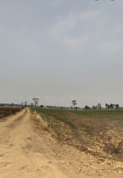 ขายที่ดิน 4 ไร่ ต.กันจุ อ.บึงสามพัน จ.เพชรบูรณ์, Phetchabun, Kan Chu, Buang Sam Phan, Phetchabun, , 6,400 sqm, Land For Sale, by นฤมล อุ่นจิตติ, 500437343 - DDproperty.com