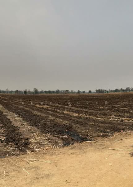 ขายที่ดิน 4 ไร่ ต.กันจุ อ.บึงสามพัน จ.เพชรบูรณ์, Phetchabun, Kan Chu, Buang Sam Phan, Phetchabun, , 6,400 sqm, Land For Sale, by นฤมล อุ่นจิตติ, 500437343 - DDproperty.com
