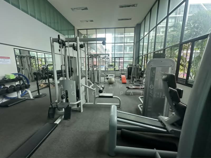 Tropicana Condotel : ทรอปพิคาน่า คอนโดเทล, ชลบุรี, 6 338/129 พระตำหนัก, หนองปรือ, บางละมุง, ชลบุรี, 150 ตร.ม., คอนโด ขาย, โดย Pattanapong Pongpipat, 500437350 - DDproperty.com