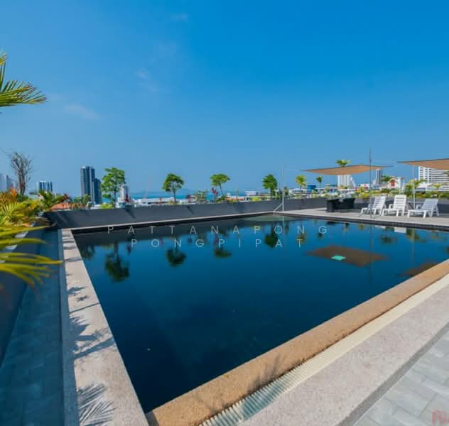 Tropicana Condotel : ทรอปพิคาน่า คอนโดเทล, ชลบุรี, 6 338/129 พระตำหนัก, หนองปรือ, บางละมุง, ชลบุรี, 150 ตร.ม., คอนโด ขาย, โดย Pattanapong Pongpipat, 500437350 - DDproperty.com