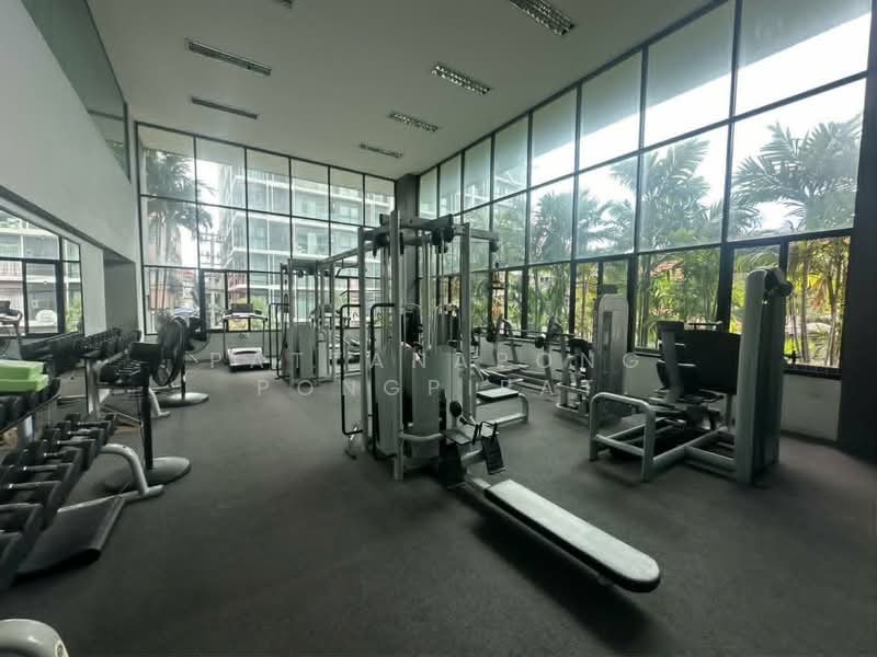 Tropicana Condotel : ทรอปพิคาน่า คอนโดเทล, ชลบุรี, 6 338/129 พระตำหนัก, หนองปรือ, บางละมุง, ชลบุรี, 150 ตร.ม., คอนโด ขาย, โดย Pattanapong Pongpipat, 500437350 - DDproperty.com