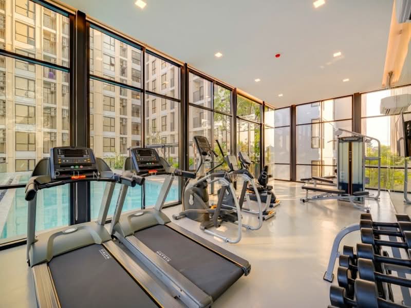 Kensington Phaholyothin 63, Bangkok, Soi Phaholyothin 63, Phaholyothin Road, Anusaowari, Bang Khen, Bangkok, 1 Bedroom, 23 sqm, Condo For Rent, by Punpapa Rassamee, 500437464 - DDproperty.com