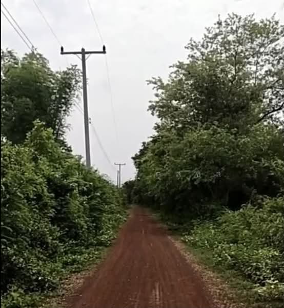สะแบง, Udon Thani, Sa Baeng, Nong Han, Udon Thani, , 12,900 sqm, Land For Sale, by สมภพ กุลชล, 500437497 - DDproperty.com